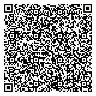 vCard 79619701381