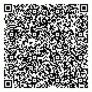 vCard 79619701383