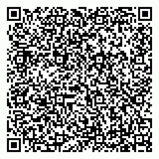 vCard 79619701387