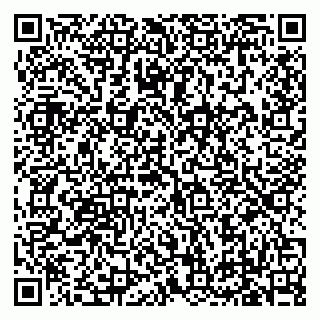 vCard 79619701411