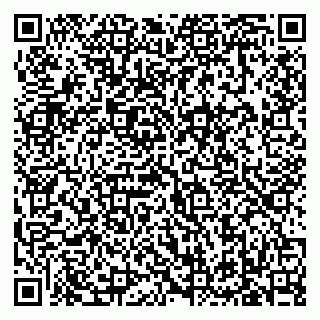 vCard 79619701529