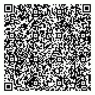 vCard 79619701533