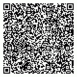 vCard 79619701535