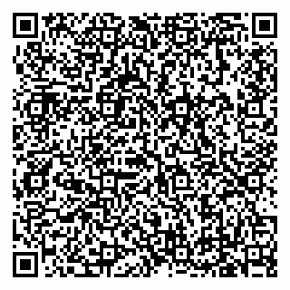 vCard 79619702538