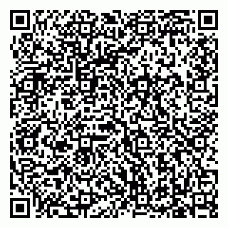 vCard 79619702587
