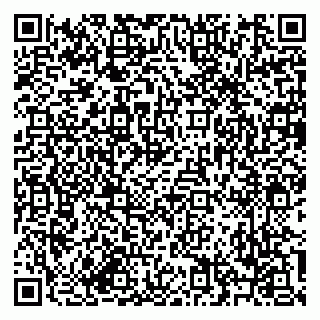 vCard 79619702733