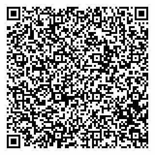 vCard 79619724873
