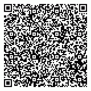 vCard 79619724907
