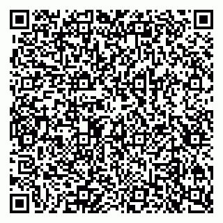 vCard 79619724931
