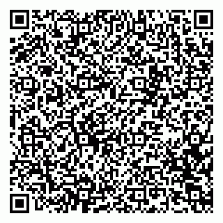 vCard 79619725035