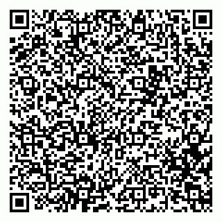 vCard 79619725131