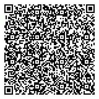 vCard 79619725133