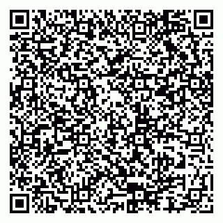 vCard 79619727300