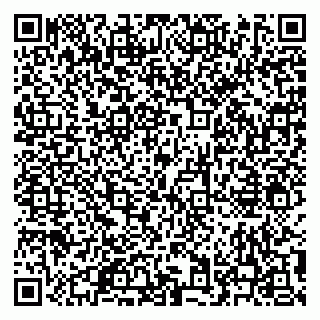 vCard 79620950181