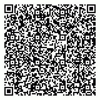 vCard 79620950335