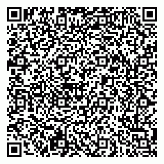 vCard 79621800019