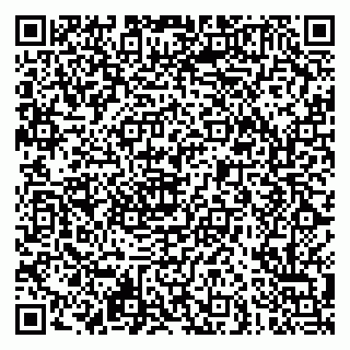 vCard 79621800065