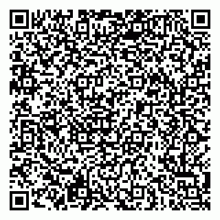 vCard 79621800099