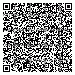 vCard 79621800131