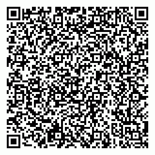 vCard 79621800133