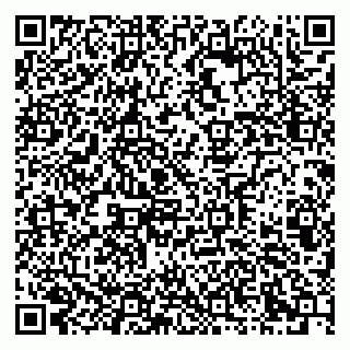 vCard 79621800138