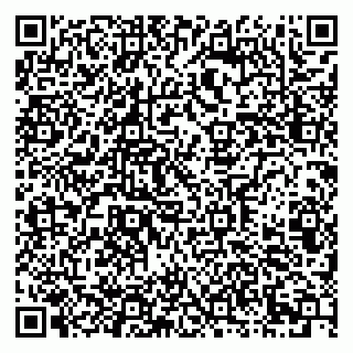vCard 79621800221