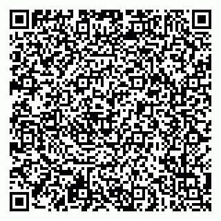 vCard 79621800293