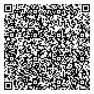 vCard 79621800294