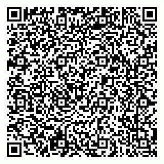 vCard 79621800303
