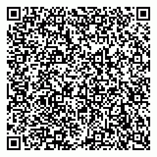 vCard 79621800313
