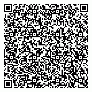 vCard 79621800317