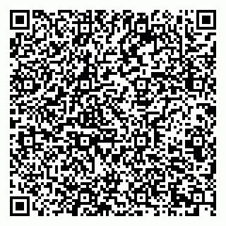 vCard 79621800337