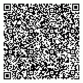 vCard 79621800384