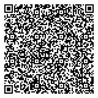 vCard 79621800387