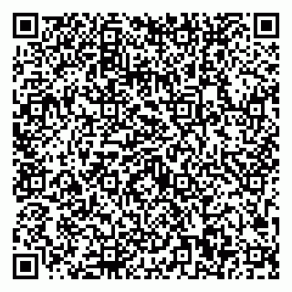 vCard 79623100078