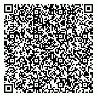 vCard 79623100132
