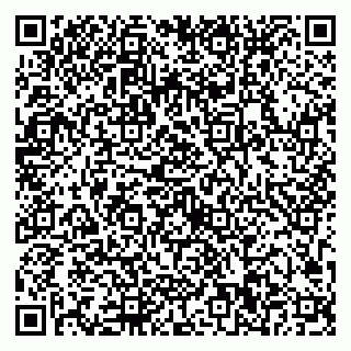 vCard 79623100151