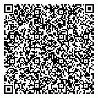 vCard 79623100173