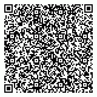 vCard 79623100177
