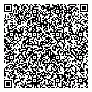 vCard 79623100181