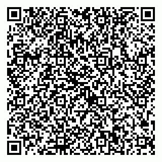 vCard 79623100285