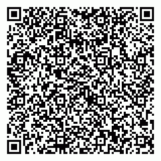 vCard 79623100290