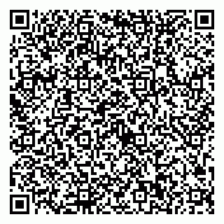 vCard 79623100294