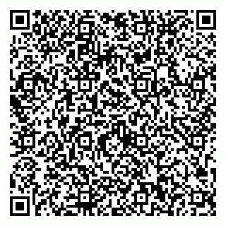 vCard 79623100310