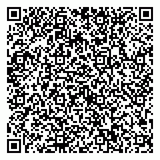 vCard 79623100317