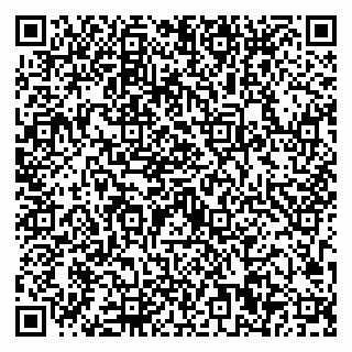 vCard 79623100318