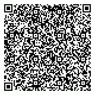vCard 79623100321