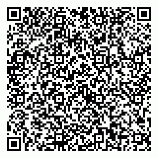 vCard 79623100329