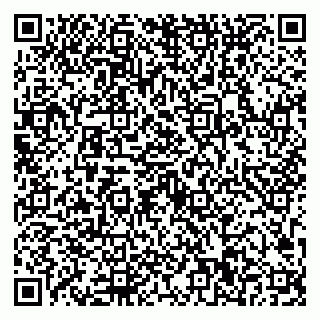 vCard 79623100331