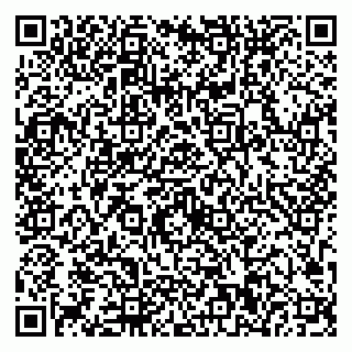 vCard 79623100332